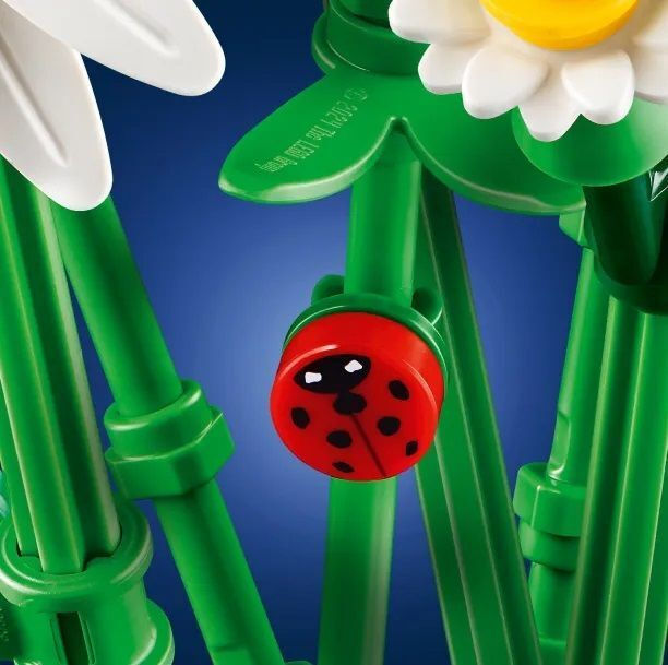 LEGO Botanical Collection Daisies για 9+ Ετών 133τμχ 11508 - Image 5