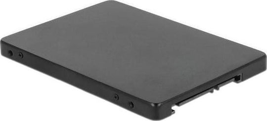 DeLock Converter SATA 22pin to M.2 with Enclosure