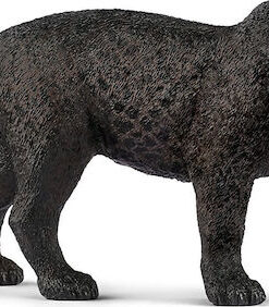 Schleich-S Wild Life Black Panther για 3+ Ετών (Διάφορα Σχέδια) 1τμχ 14774