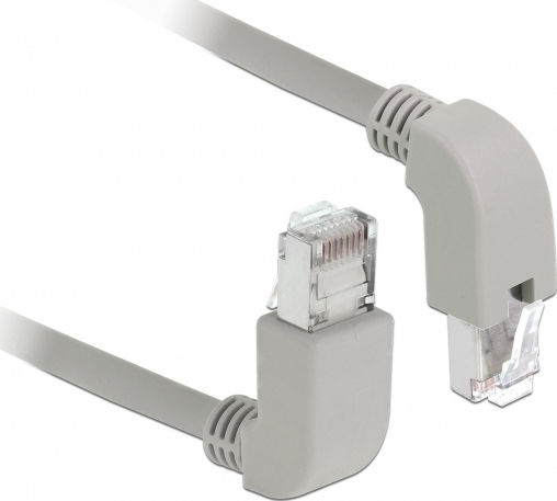 DeLock S/FTP Cat.6a Καλώδιο Δικτύου Ethernet 1m Γκρι (85871)