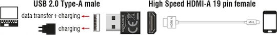 DeLock Μετατροπέας USB-A male σε HDMI female 1τμχ 65680 - Image 4