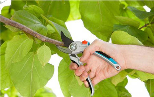 Gardena Comfort Ψαλίδι Κλαδέματος Μήκους 26.8cm με Μέγιστη Διάμετρο Κοπής 25mm - Image 2