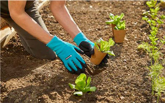 Gardena Αδιάβροχα Γάντια Εργασίας Κήπου Μπλε Νιτριλίου/Πολυεστέρα 11511-20 - Image 4