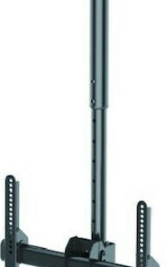 Newstar NM-C440BLACK Οροφής έως 60" και 50kg