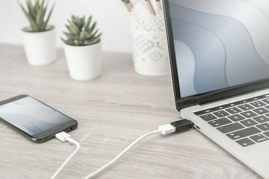 Digitus Μετατροπέας USB-C male σε USB-A female (AK-300506-000-S) - Image 10