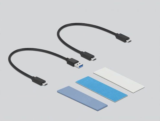 DeLock Θήκη για Σκληρό Δίσκο M.2 PCI Express / SATA III με σύνδεση Type-C σε Γκρι χρώμα 42638 - Image 2