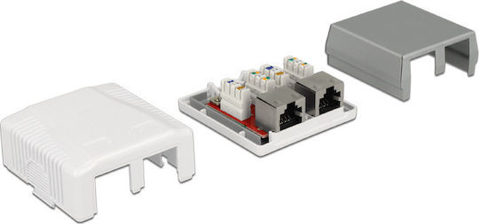DeLock Εξωτερική Διπλή Πρίζα Δικτύου RJ45 Τύπου Cat6 σε Λευκό Χρώμα 86197 - Image 3
