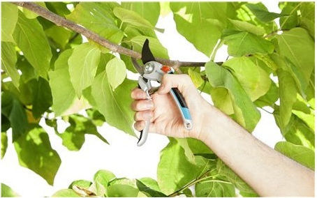 Gardena Comfort Ψαλίδι Κλαδέματος Μήκους 26.8cm με Μέγιστη Διάμετρο Κοπής 25mm - Image 5