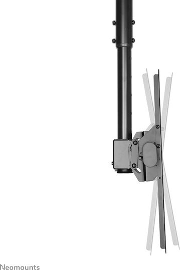 Newstar NM-C440BLACK Οροφής έως 60" και 50kg - Image 4