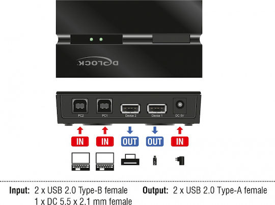 DeLock USB 2.0 Διακόπτης 2 PC προς 2 συσκευές - Image 3