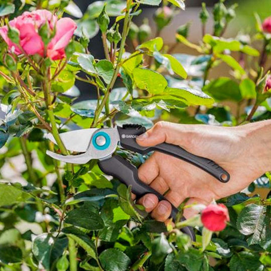 Gardena Ψαλίδι Κλαδέματος με Μέγιστη Διάμετρο Κοπής 18mm - Image 4