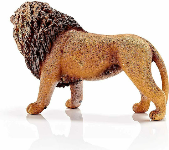 Schleich-S Wild Life Lion Roaring για 3+ Ετών 6.6εκ. 14726 - Image 6
