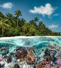 Alternative view of Puzzle A Dive in the Maldives 2D 2000 Κομμάτια 17441
