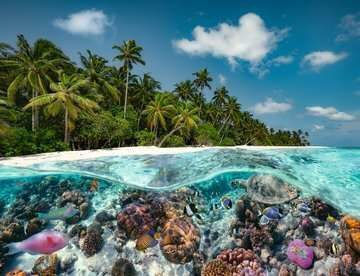 Puzzle A Dive in the Maldives 2D 2000 Κομμάτια 17441 - Image 2