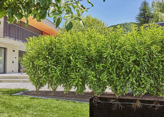Gardena 13503-20 Σταλακτηφόρος Σωλήνας 25m Με Σταλάκτες - Image 3
