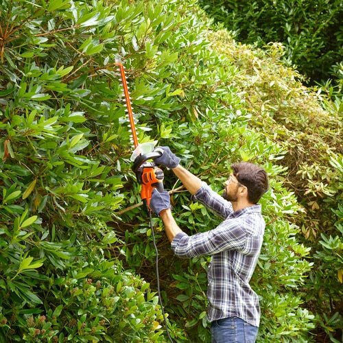 Black & Decker BEHTS451 Ηλεκτρικό Μπορντουροψάλιδο 550W με Μήκος Λάμας 60cm - Image 2