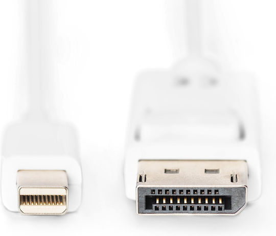Digitus Cable DisplayPort male - mini DisplayPort male 2m (AK-340102-020-W) - Image 3