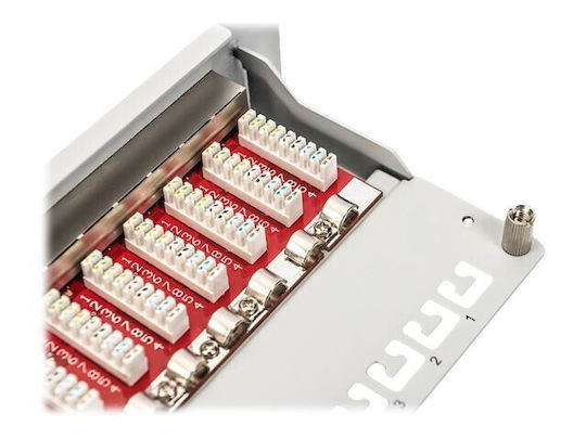 Digitus Patch Panel Shielded για Rack 1U 10" 12 Θυρών Γκρι DN-91612S-EA-G - Image 2