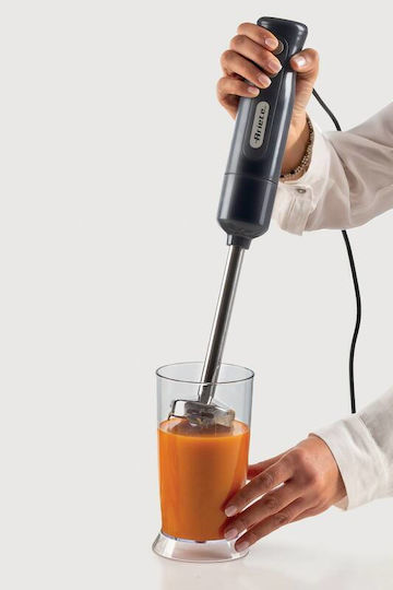 Ariete Ραβδομπλέντερ με Ανοξείδωτη Ράβδο 700W Μαύρο - Image 3