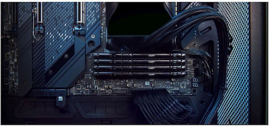 Kingston Fury Beast DDR5 με Module 1x8GB και Ταχύτητα 5600 για Desktop KF556C36BBE-8 - Image 7