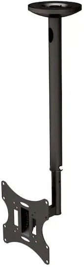 Newstar FPMA-C060BLACK Οροφής έως 40" και 20kg - Image 3