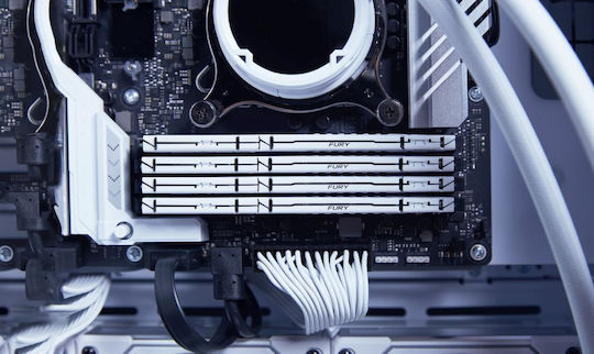Kingston Fury Beast DDR5 με Module 1x32GB και Ταχύτητα 5600 για Desktop KF556C36BWE-32 - Image 4