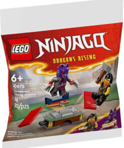 LEGO Ninjago Dragons Rising για 6+ Ετών 40τμχ 30675