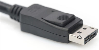 Digitus Cable DisplayPort male - DisplayPort male 1m (AK-340106-010-S) - Image 3