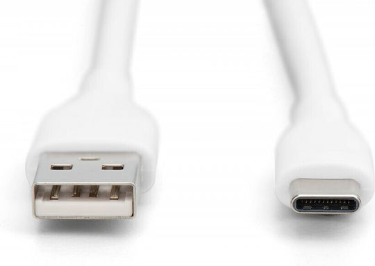 Digitus USB 2.0 Cable USB-C male - USB-A / USB-C 60W Λευκό 1m AK-300340-010-W - Image 2