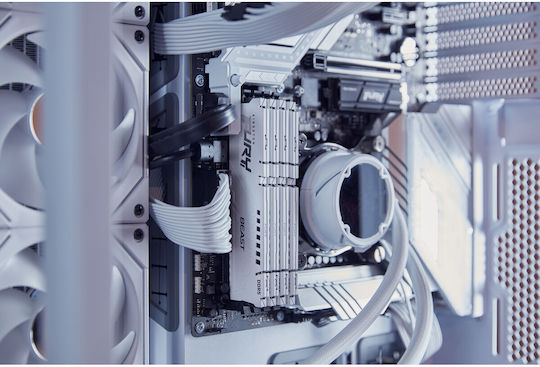 Kingston Fury Beast DDR5 με Module 1x32GB και Ταχύτητα 6000 για Desktop KF560C30BWEK2-32 - Image 5
