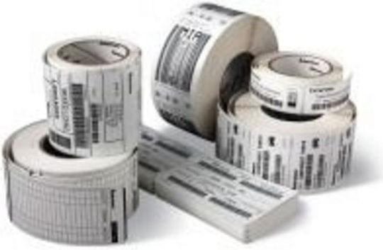 Zebra 800264-405 700 Αυτοκόλλητες Ετικέτες σε Ρολό για Εκτυπωτή Ετικετών 102x102mm 12τμχ