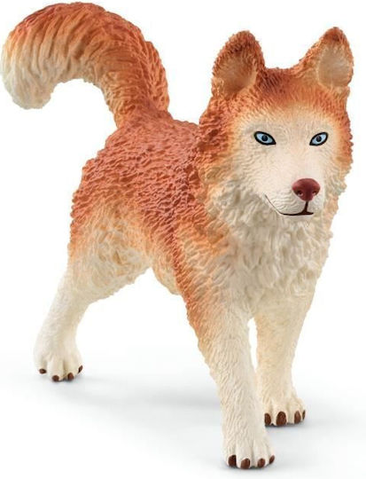 Schleich-S Wild Life Antarctic Expedition για 3-8 Ετών 42558 - Image 3