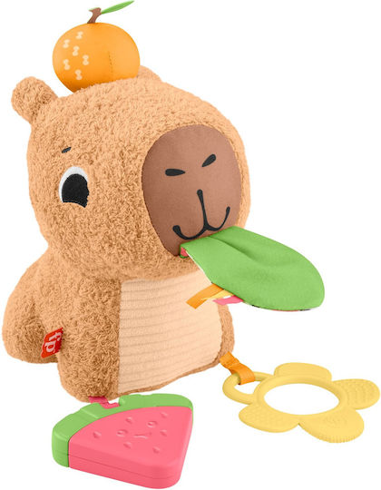 Fisher Price Βρεφικό Παιχνίδι από Ύφασμα με Ήχους για 3+ Μηνών (Διάφορα Σχέδια) 1τμχ HYR54 - Image 2
