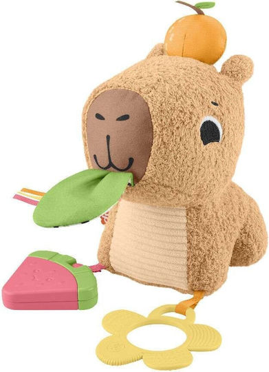 Fisher Price Βρεφικό Παιχνίδι από Ύφασμα με Ήχους για 3+ Μηνών (Διάφορα Σχέδια) 1τμχ HYR54 - Image 4