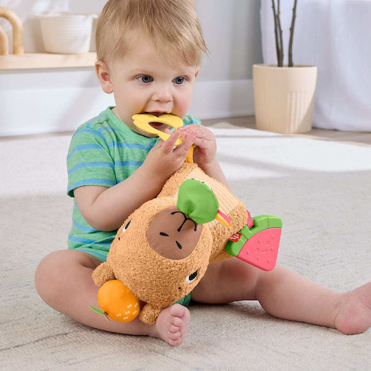 Fisher Price Βρεφικό Παιχνίδι από Ύφασμα με Ήχους για 3+ Μηνών (Διάφορα Σχέδια) 1τμχ HYR54 - Image 3