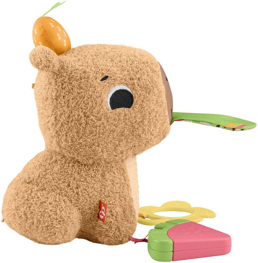 Fisher Price Βρεφικό Παιχνίδι από Ύφασμα με Ήχους για 3+ Μηνών (Διάφορα Σχέδια) 1τμχ HYR54 - Image 5