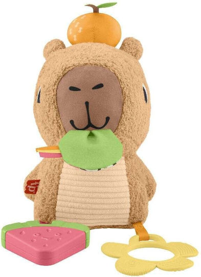 Fisher Price Βρεφικό Παιχνίδι από Ύφασμα με Ήχους για 3+ Μηνών (Διάφορα Σχέδια) 1τμχ HYR54 - Image 6