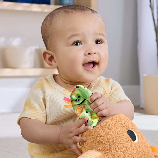 Fisher Price Βρεφικό Παιχνίδι από Ύφασμα με Ήχους για 3+ Μηνών (Διάφορα Σχέδια) 1τμχ HYR54 - Image 7