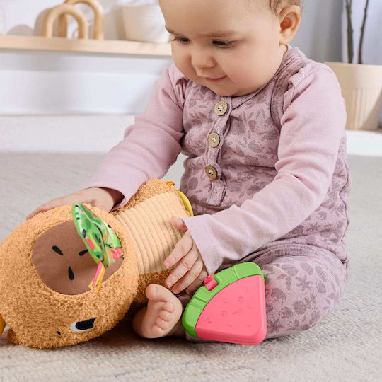 Fisher Price Βρεφικό Παιχνίδι από Ύφασμα με Ήχους για 3+ Μηνών (Διάφορα Σχέδια) 1τμχ HYR54 - Image 8