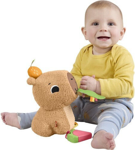 Fisher Price Βρεφικό Παιχνίδι από Ύφασμα με Ήχους για 3+ Μηνών (Διάφορα Σχέδια) 1τμχ HYR54 - Image 12