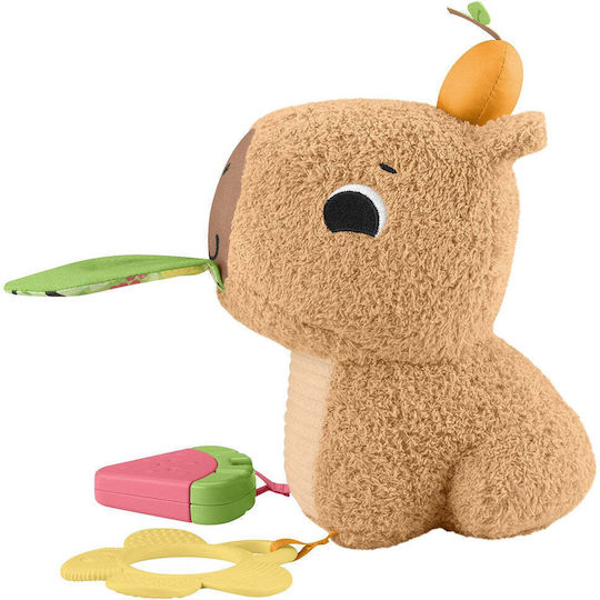 Fisher Price Βρεφικό Παιχνίδι από Ύφασμα με Ήχους για 3+ Μηνών (Διάφορα Σχέδια) 1τμχ HYR54 - Image 10