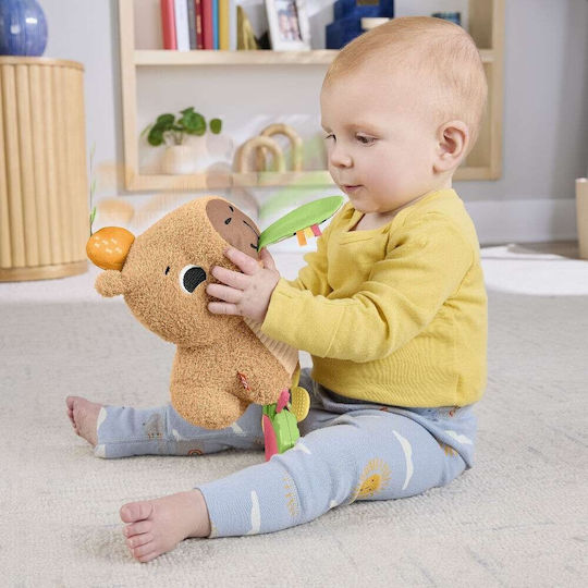 Fisher Price Βρεφικό Παιχνίδι από Ύφασμα με Ήχους για 3+ Μηνών (Διάφορα Σχέδια) 1τμχ HYR54 - Image 9