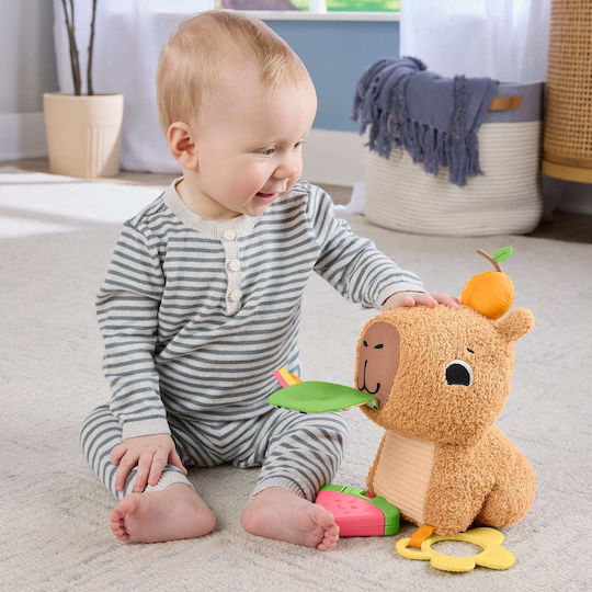 Fisher Price Βρεφικό Παιχνίδι από Ύφασμα με Ήχους για 3+ Μηνών (Διάφορα Σχέδια) 1τμχ HYR54 - Image 11