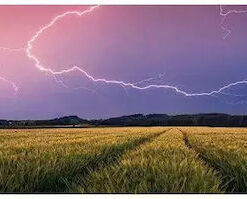 Alternative view of Summer Thunderstorm Puzzle 2D 500pcs 00685