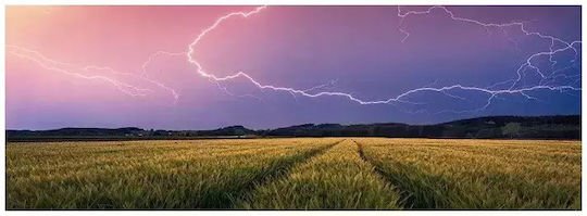 Summer Thunderstorm Puzzle 2D 500pcs 00685 - Image 2