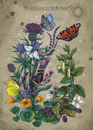 Puzzle 2D 1000pcs - Image 3