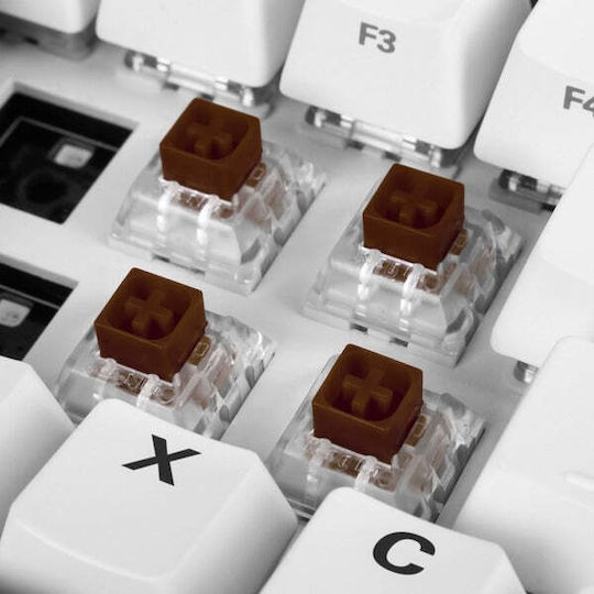 Sharkoon Kailh Box Brown Switches Πληκτρολόγιου - Image 6