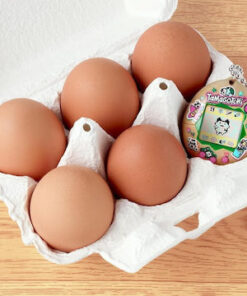Alternative view of Namco - Bandai Tamagotchi Eco Celebration Egg Ηλεκτρονική Παιδική Κονσόλα Χειρός 44315