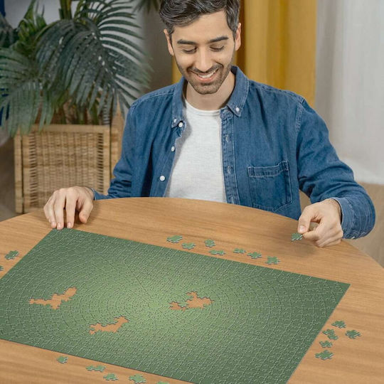 Puzzle 2D - Image 3