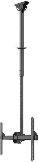 Βάση Τηλεόρασης Neomounts Cl35-440bl16l 177,8 Εκ 70" Μαύρο - Image 12